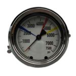 Pressure Gauge, 0 to 7500 psi Pied Brass Back